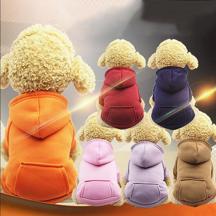 Colourful Pet Dog Hoodie